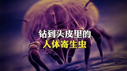 生活资讯 第45页