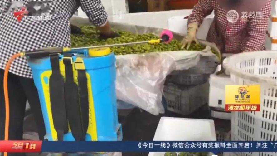 生活资讯 第44页