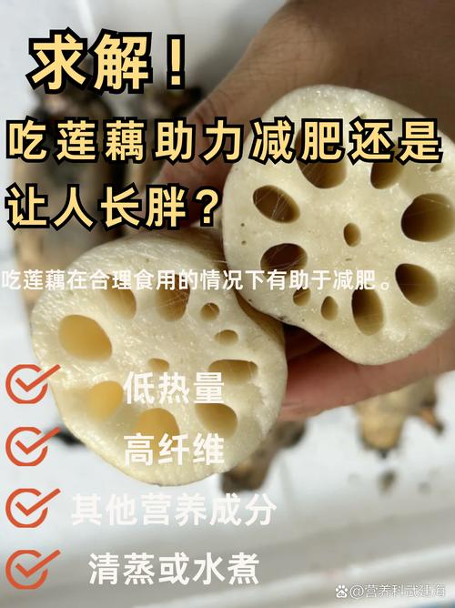 地方关注 第39页