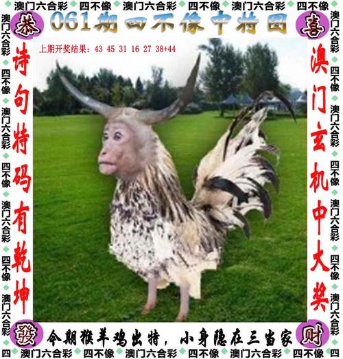 澳彩图库资料心水图片大全:以驻美使馆2人遇害