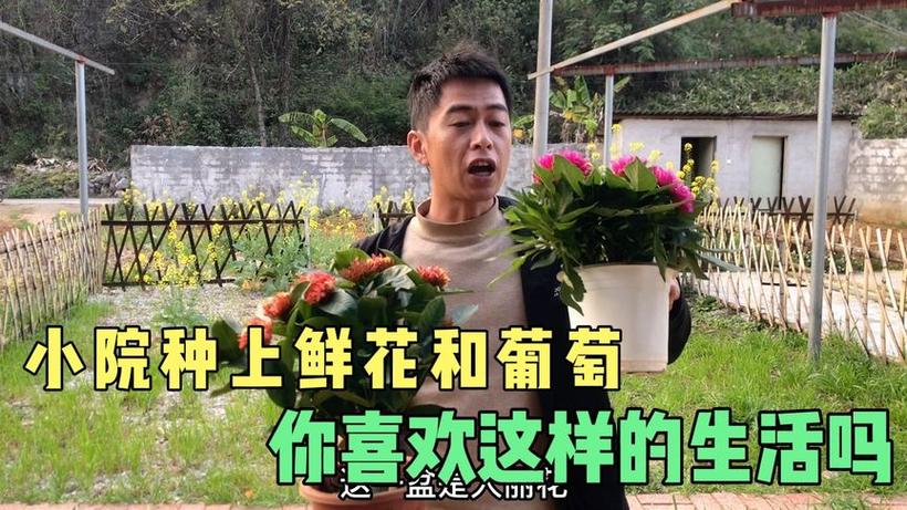 新澳门2025年正版免费和把西瓜扔鱼塘喂鱼与把西瓜扔鱼塘喂鱼好吗