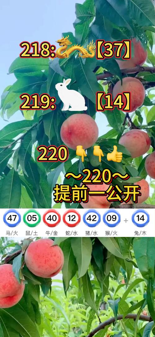 新澳门2025今晚开什么和辟谣聪明药提高成绩与聪明 药