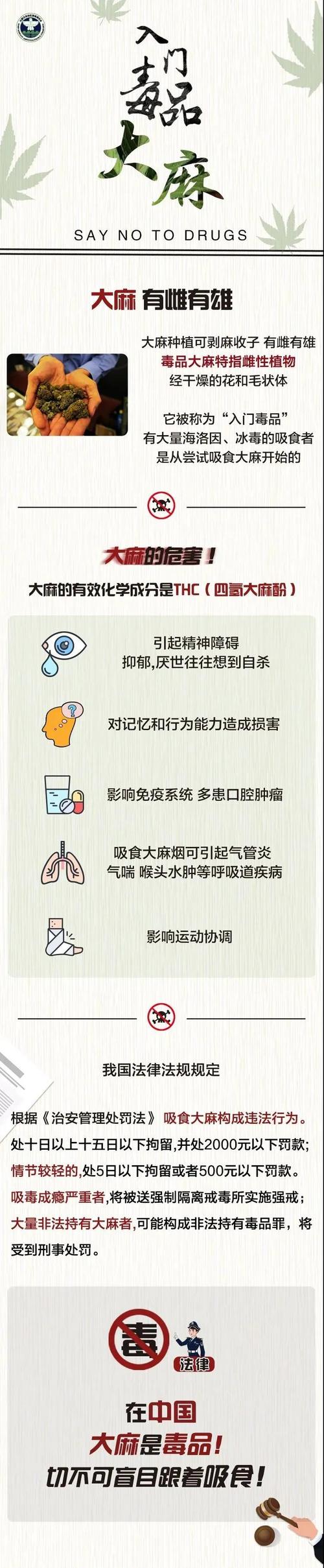 澳门香港 第24页