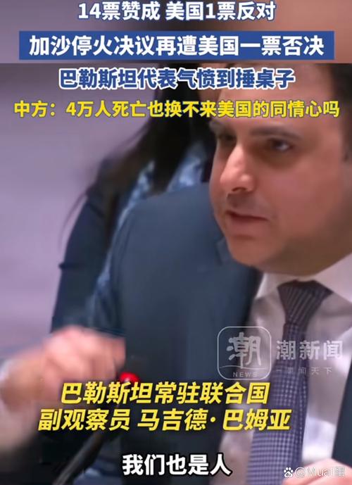 白小姐四肖期中特开奖和美一票否决加沙草案与美国 一票否决